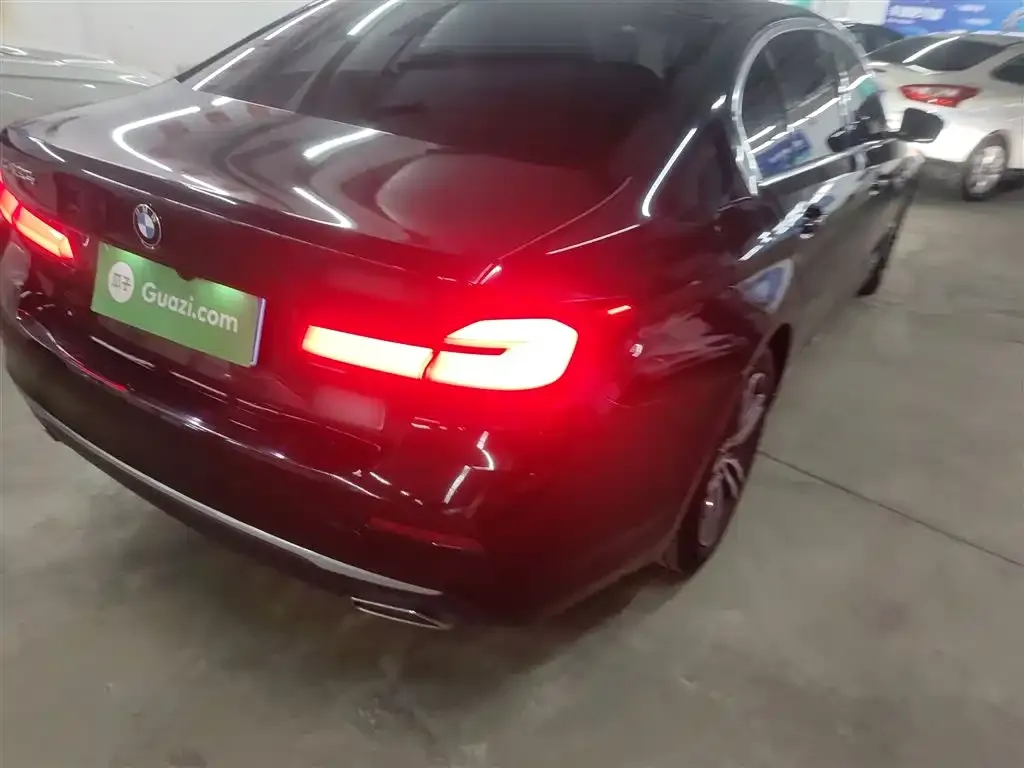 BMW 5 Series 2021 из CN, фото 3