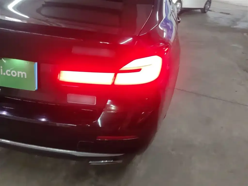 BMW 5 Series 2021 из CN, фото 4