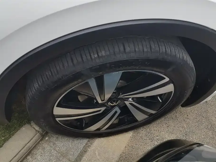 Volkswagen Tiguan X 2021 из CN, фото 5