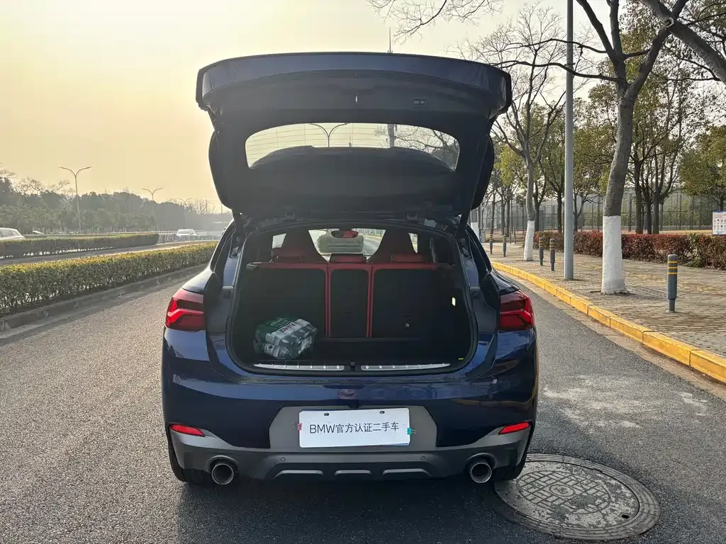 BMW X2 2021 из CN, фото 5