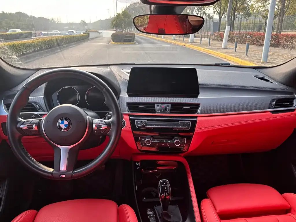 BMW X2 2021 из CN, фото 4