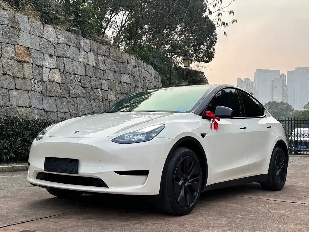 Tesla Model Y 2024 из CN, фото 1