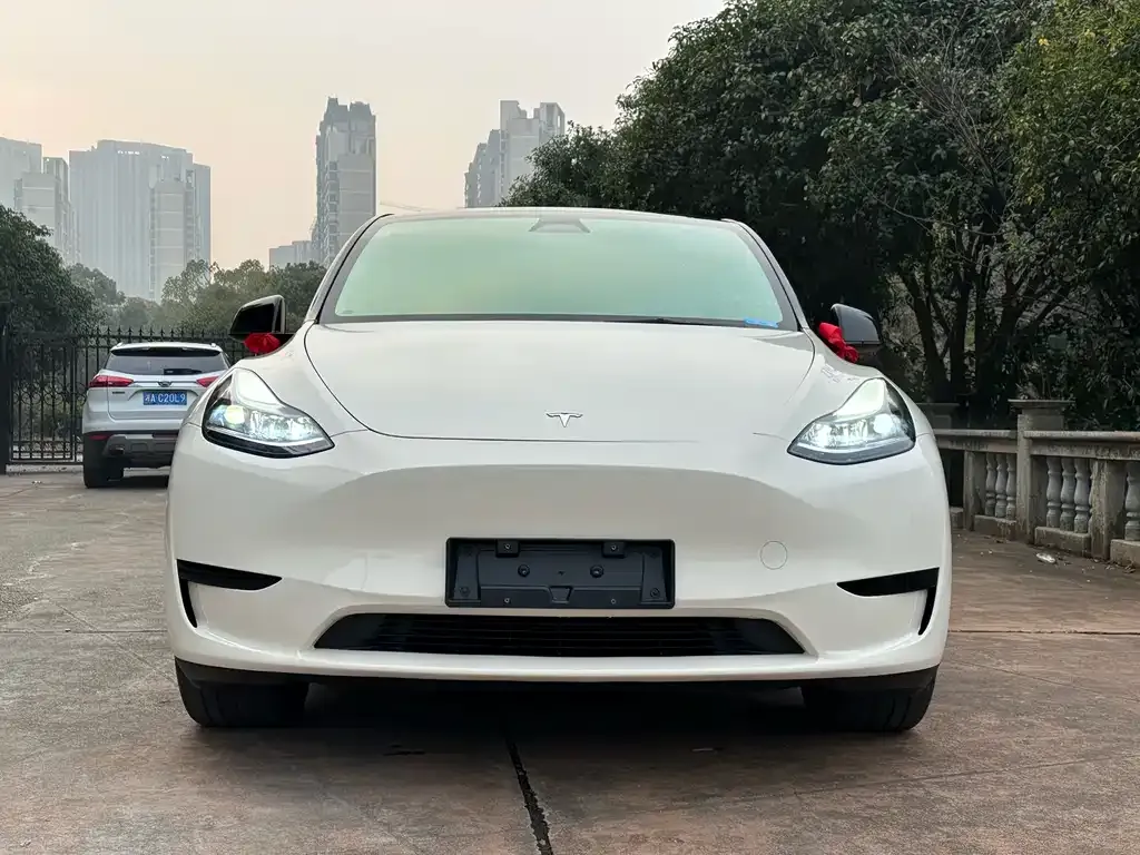 Tesla Model Y 2024 из CN, фото 7