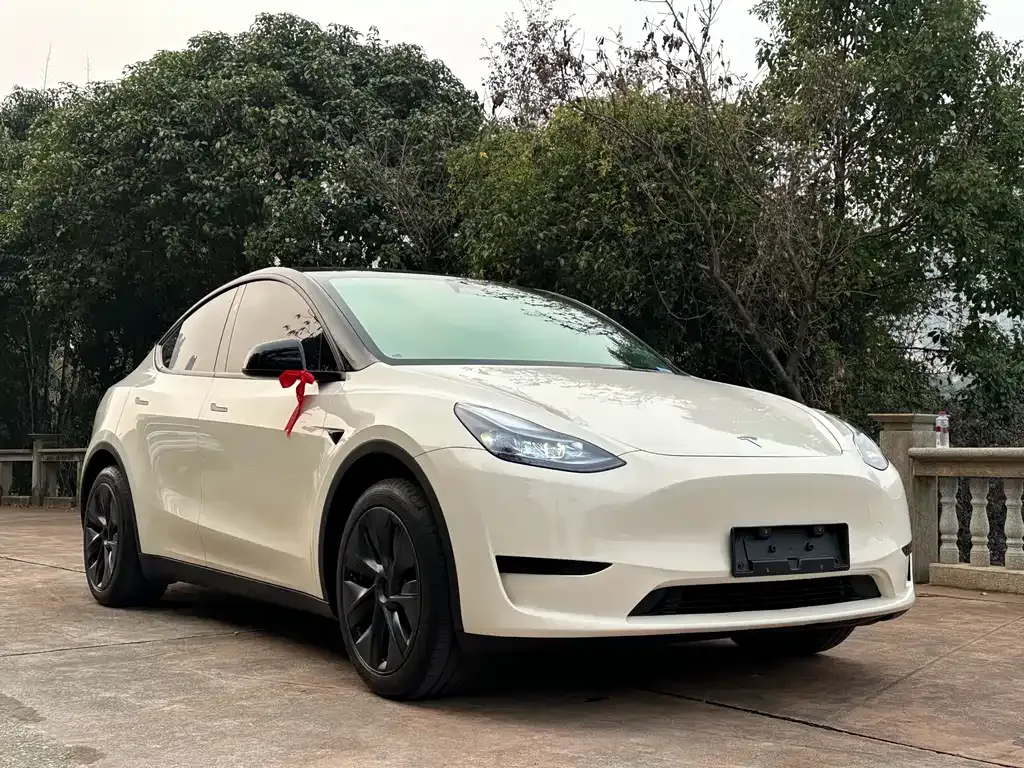 Tesla Model Y 2024 из CN, фото 10