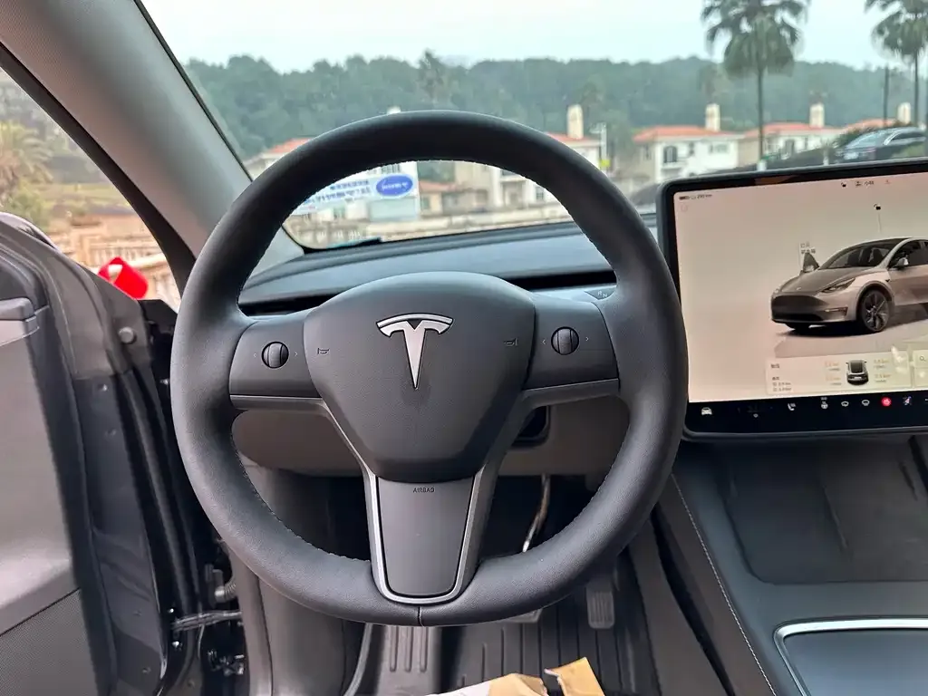 Tesla Model Y 2024 из CN, фото 4