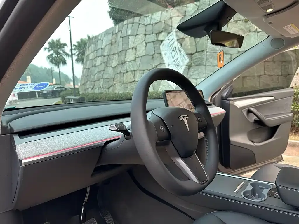 Tesla Model Y 2024 из CN, фото 2