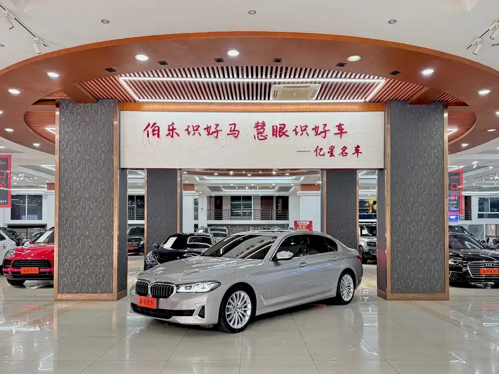 BMW 5 Series 2021 из CN, фото 1