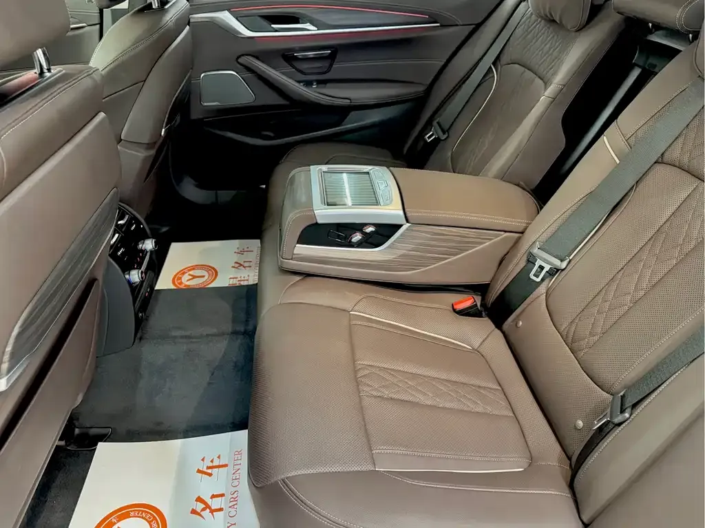 BMW 5 Series 2021 из CN, фото 10