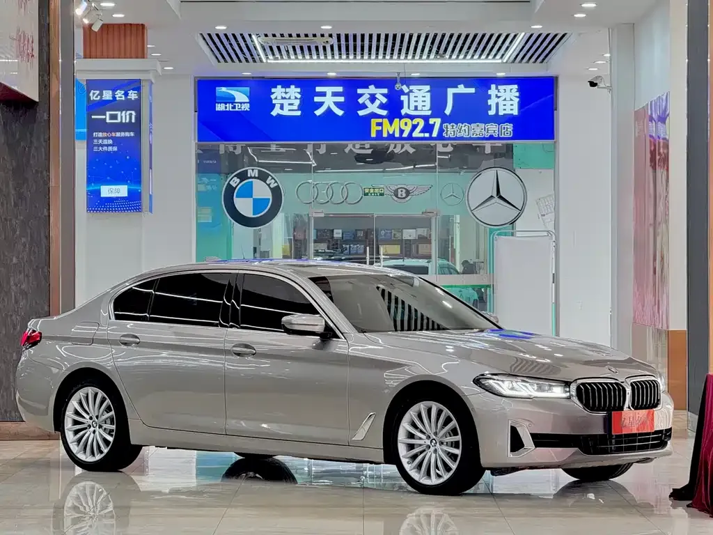 BMW 5 Series 2021 из CN, фото 9