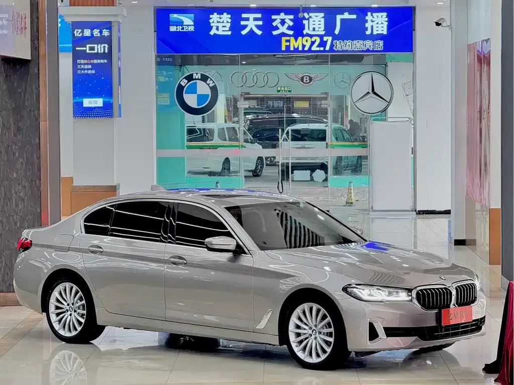 BMW 5 Series 2021 из CN, фото 7