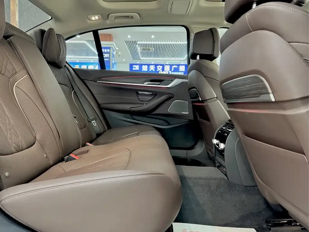 BMW 5 Series 2021 из CN, фото 6