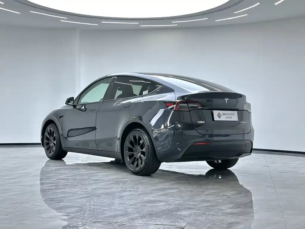 Tesla Model Y 2024 из CN, фото 6