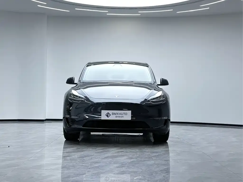 Tesla Model Y 2024 из CN, фото 2