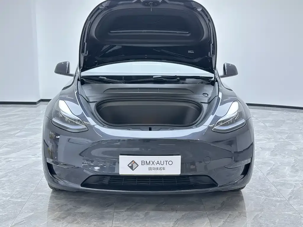 Tesla Model Y 2024 из CN, фото 9