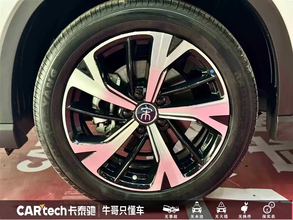 BYD Pro New Energy — фото 7