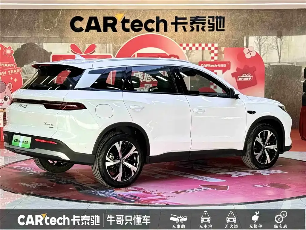 BYD Pro New Energy — фото 6