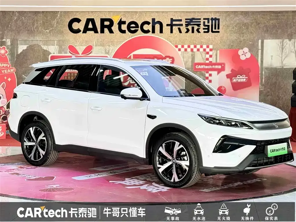 BYD Pro New Energy — фото 9