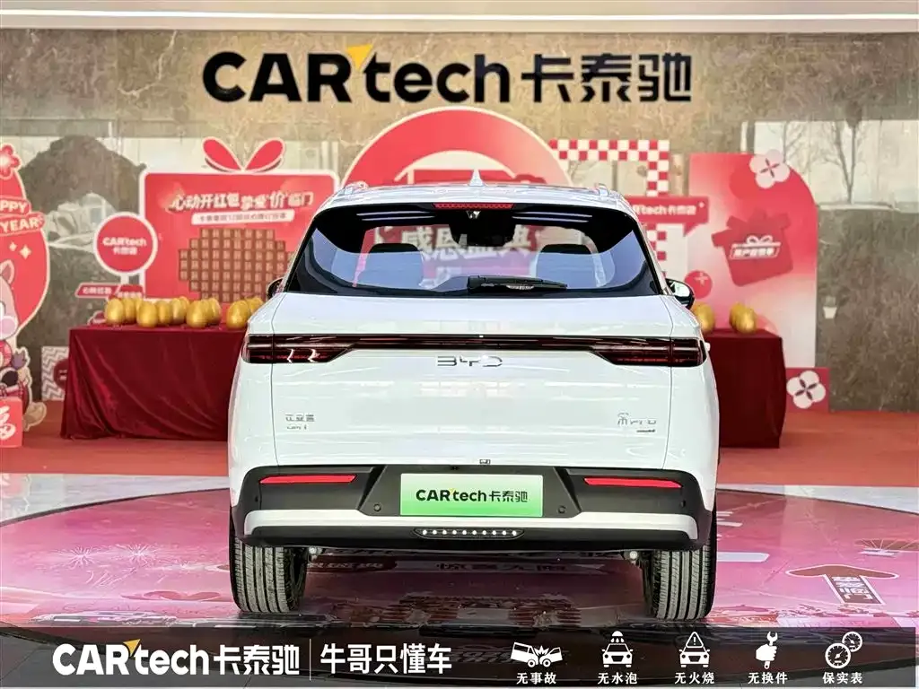 BYD Pro New Energy — фото 4