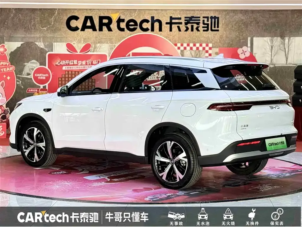 BYD Pro New Energy — фото 5