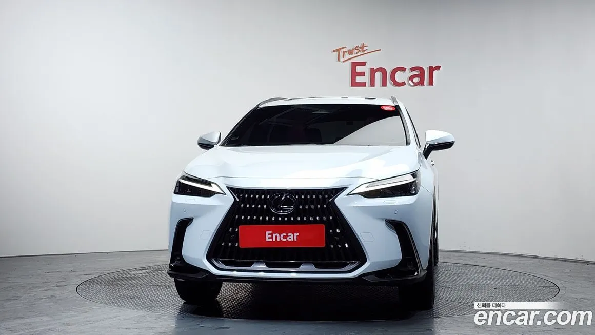 Lexus NX 2026 из KR, фото 2