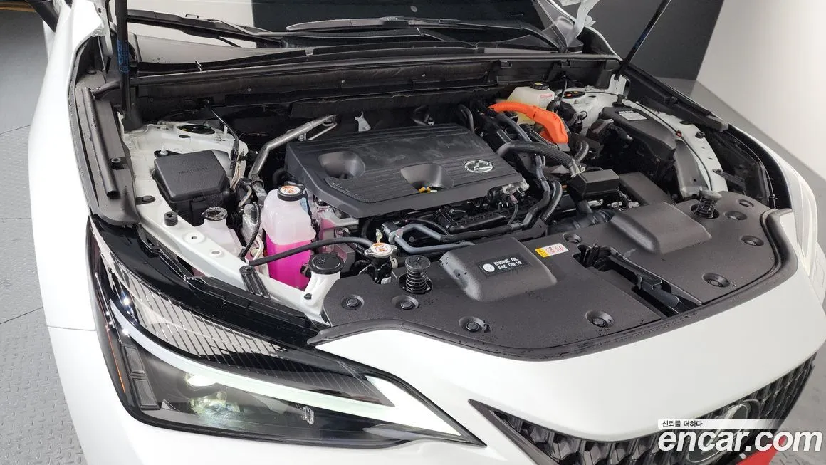 Lexus NX 2026 из KR, фото 10