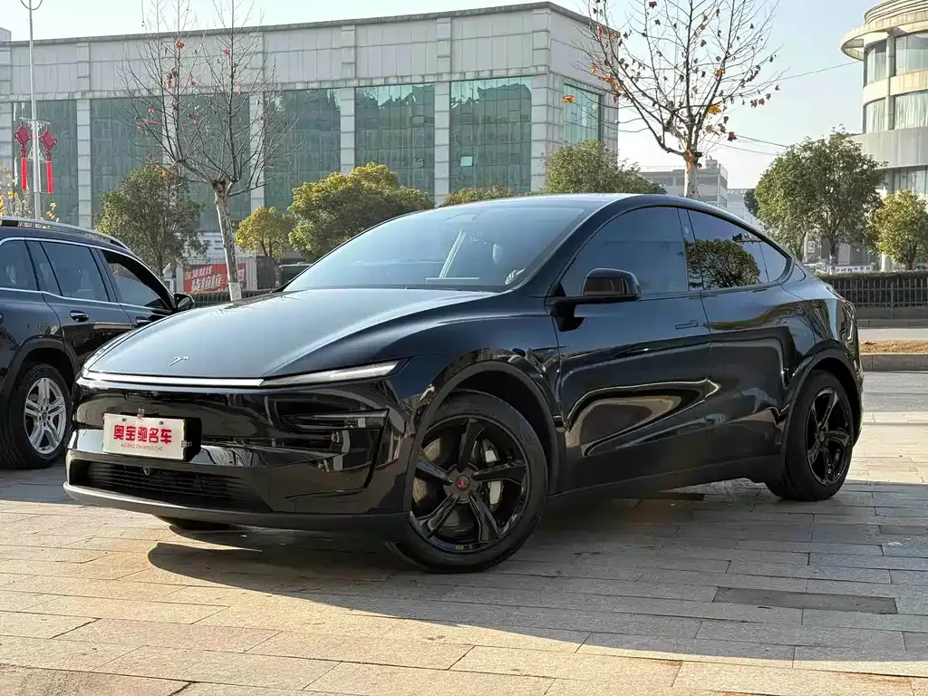 Tesla Model Y — фото 1