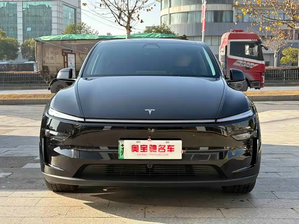 Tesla Model Y — фото 10