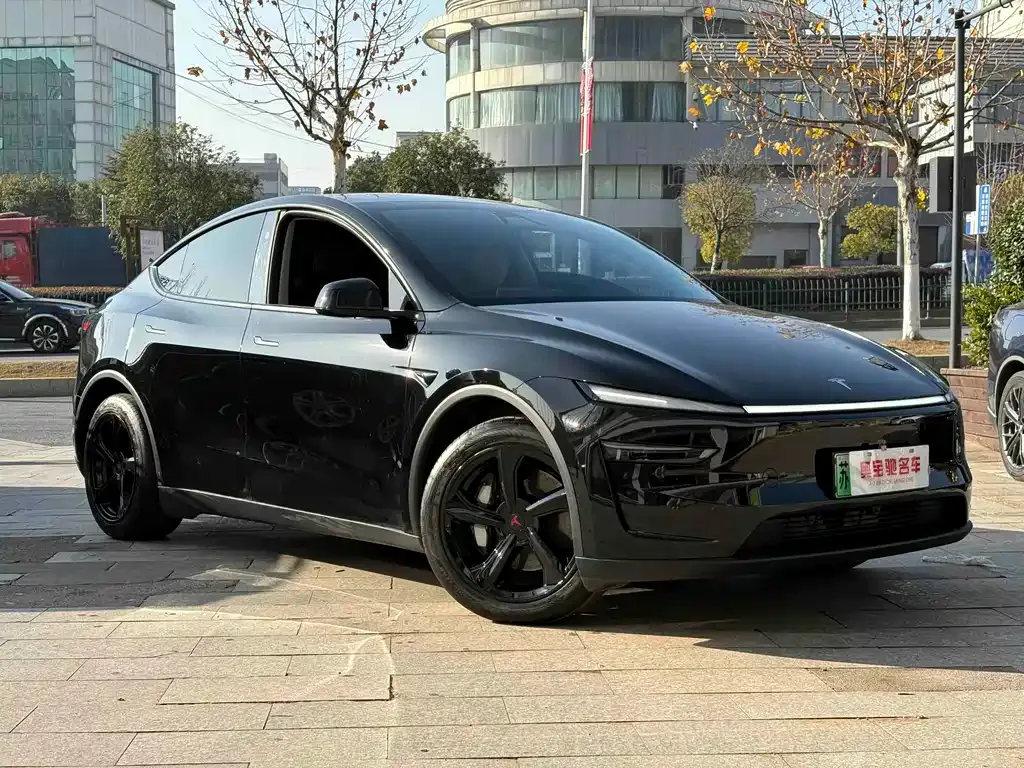 Tesla Model Y — фото 5