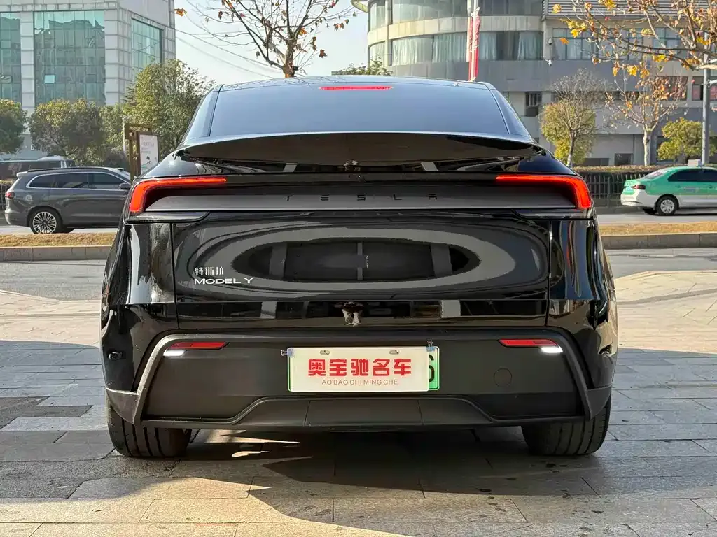 Tesla Model Y — фото 9