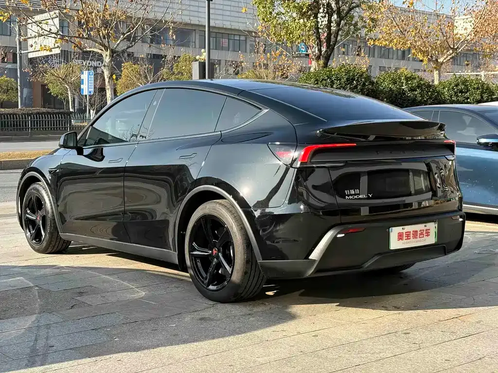 Tesla Model Y — фото 8