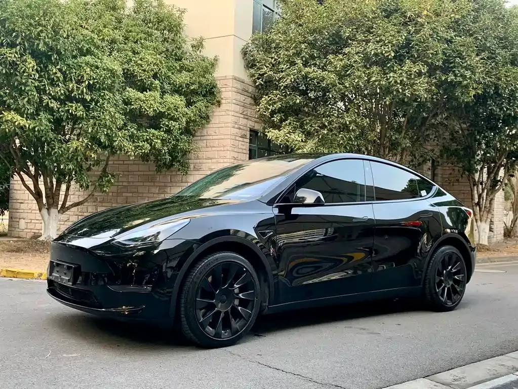 Tesla Model Y — фото 1