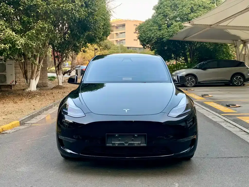 Tesla Model Y — фото 6