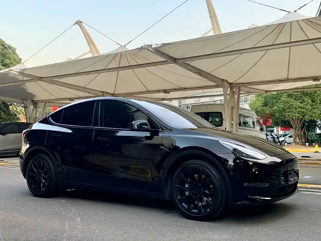 Tesla Model Y — фото 3
