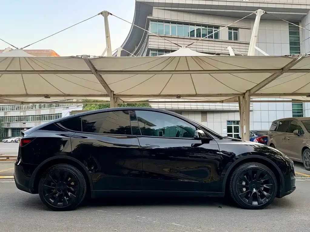 Tesla Model Y — фото 2