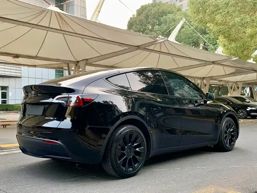 Tesla Model Y — фото 5