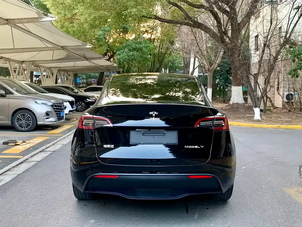 Tesla Model Y — фото 7