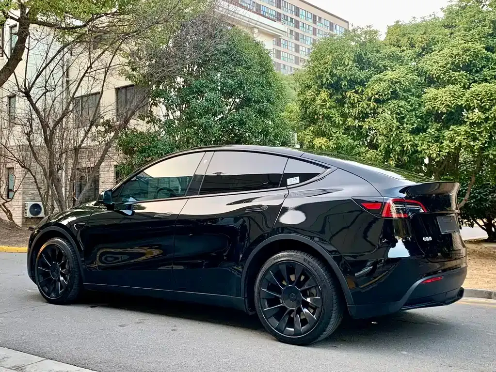 Tesla Model Y — фото 10