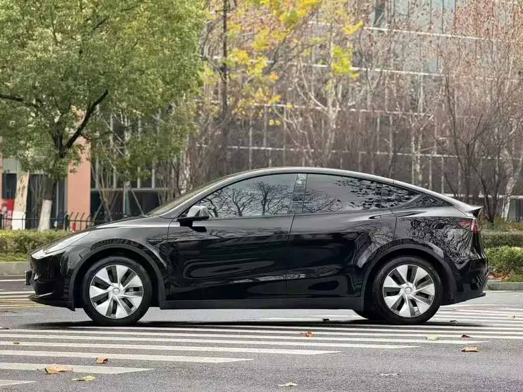 Tesla Model Y — фото 9