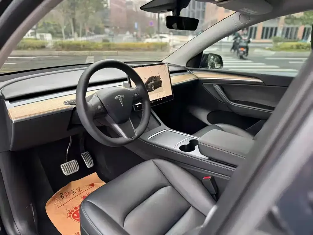Tesla Model Y — фото 2
