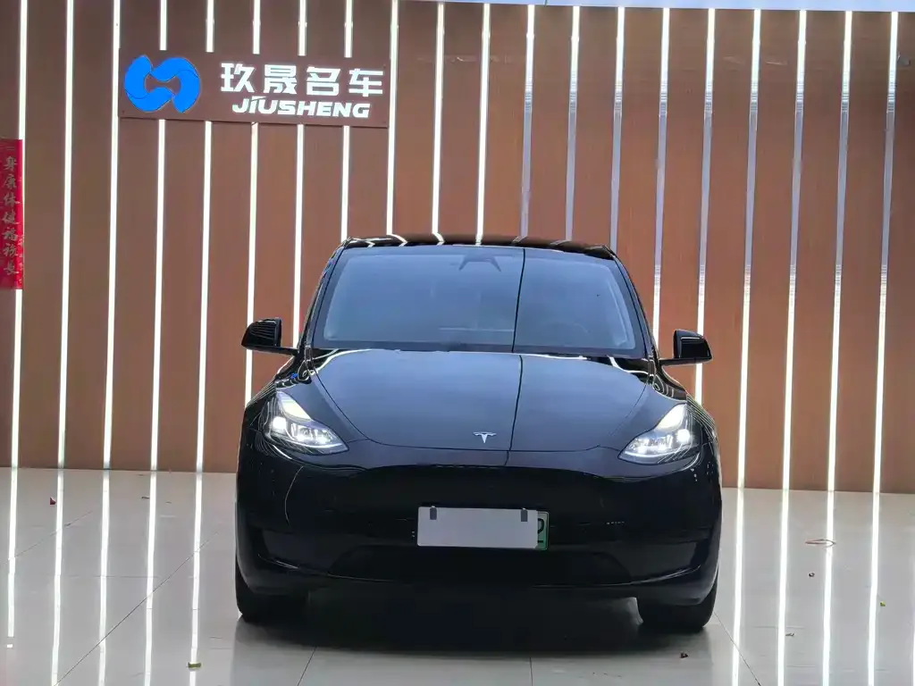 Tesla Model Y — фото 2