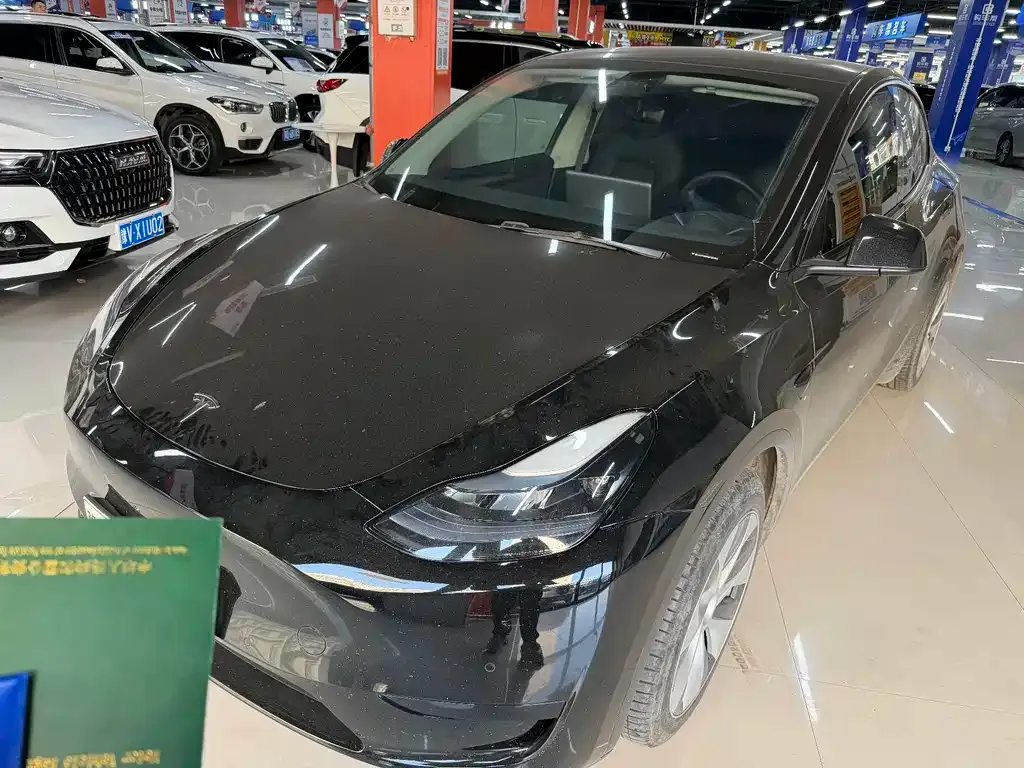 Tesla Model Y — фото 10