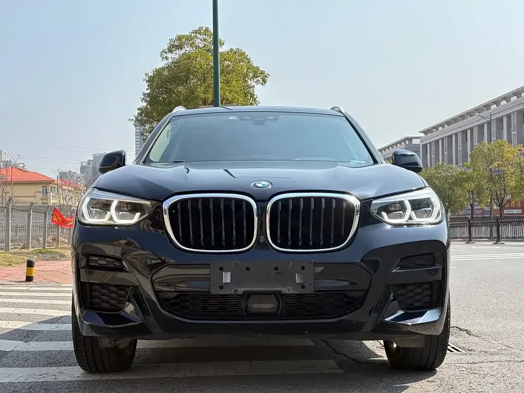 BMW X3 2021 из CN, фото 10