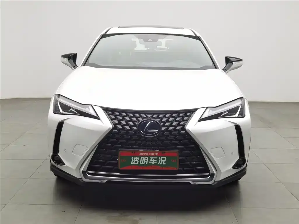 Lexus UX 2021 из CN, фото 4