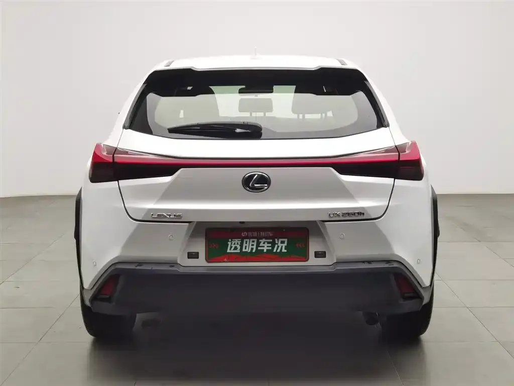 Lexus UX 2021 из CN, фото 7