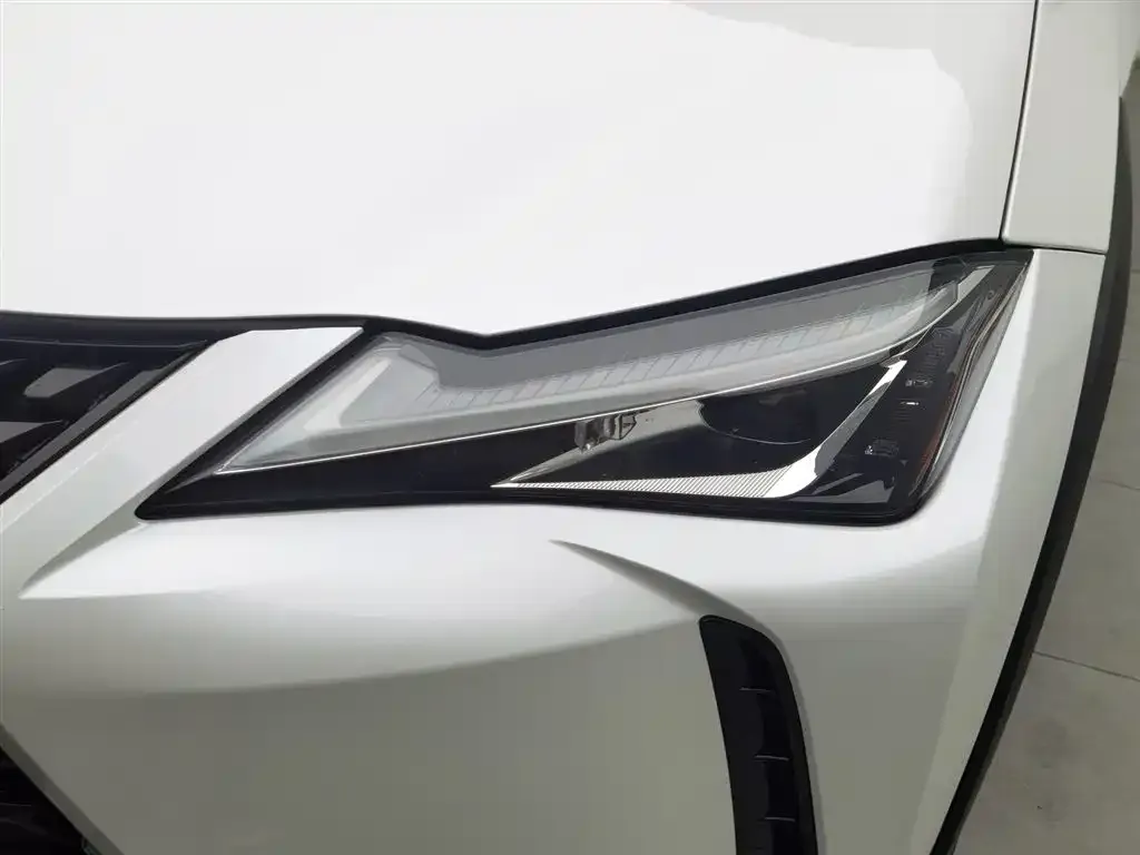 Lexus UX 2021 из CN, фото 2