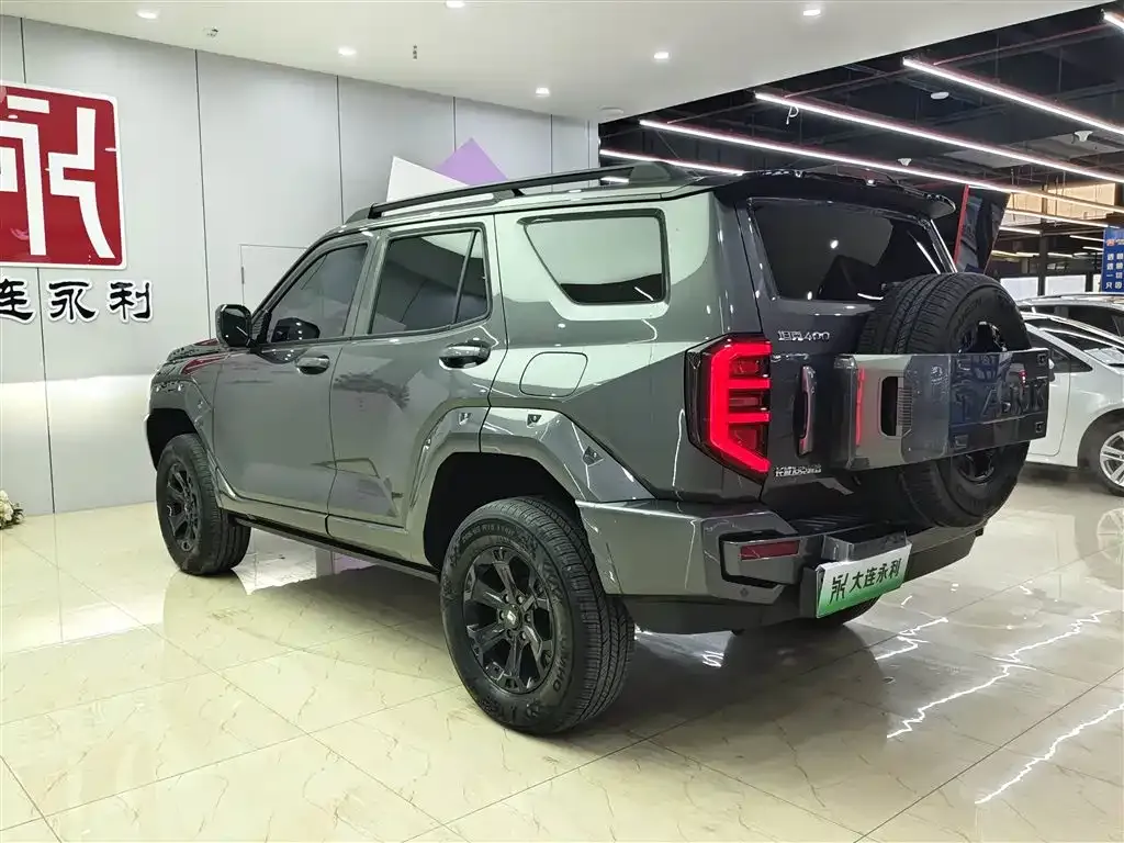 Tank 400 New Energy 2024 из CN, фото 10