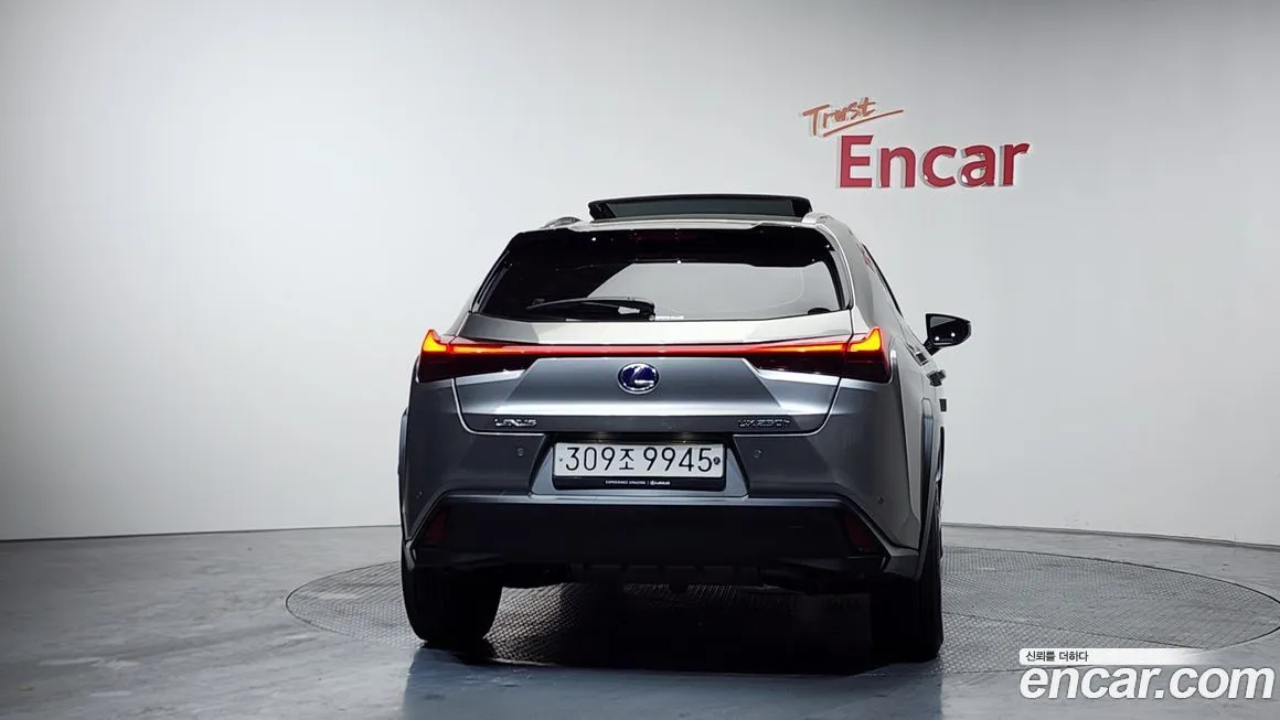 Lexus UX 2021 из KR, фото 8