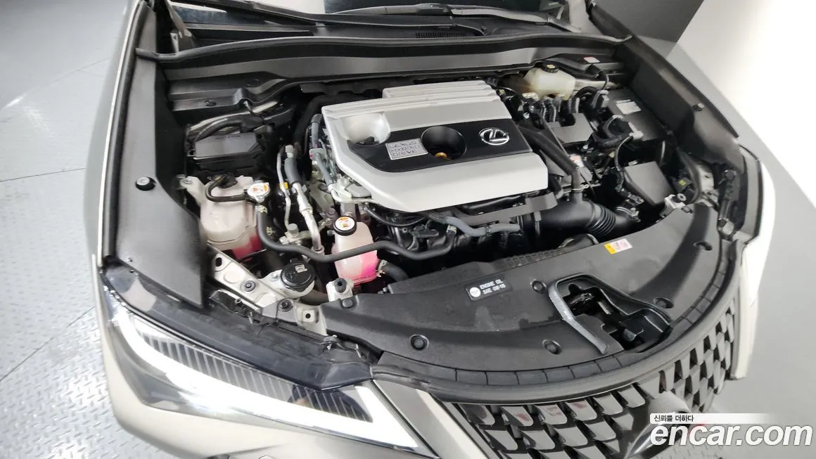 Lexus UX 2021 из KR, фото 6