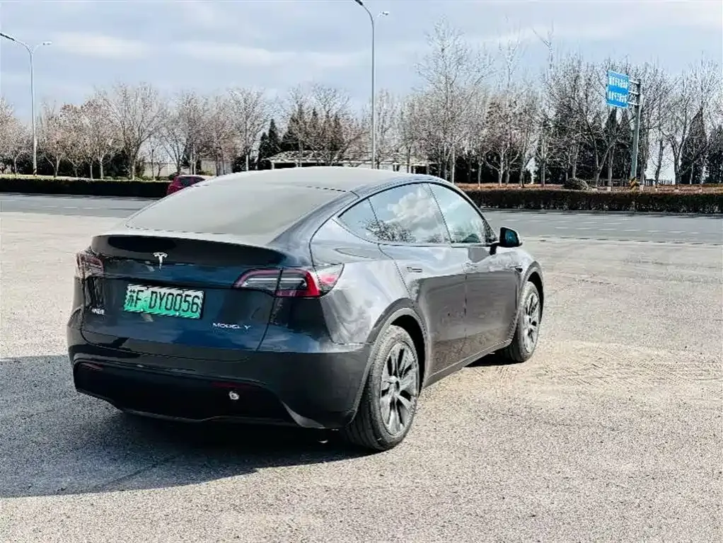 Tesla Model Y — фото 4