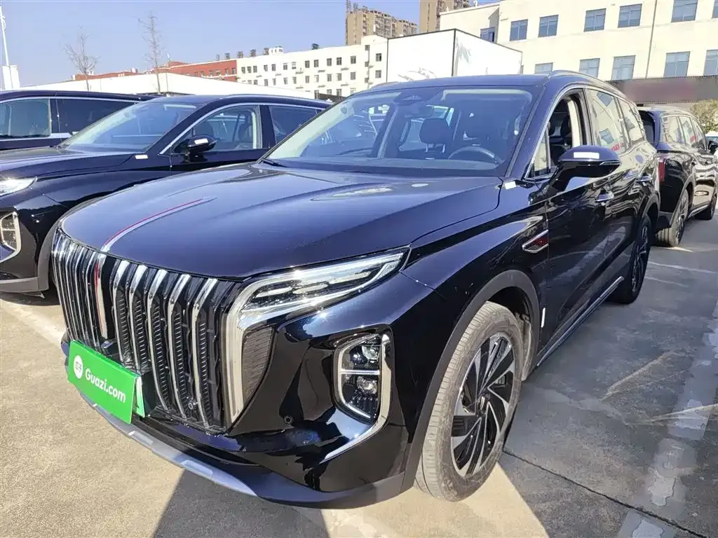 Hongqi HS7 PHEV 2024 из CN, фото 8